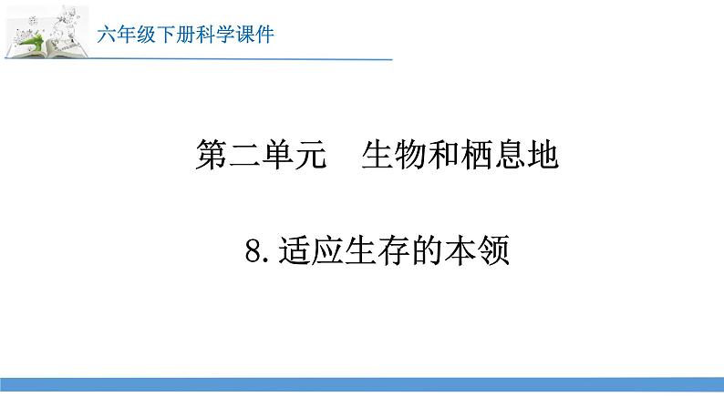 新苏教版科学六下8.适应生存的本领 教案+课件PPT01
