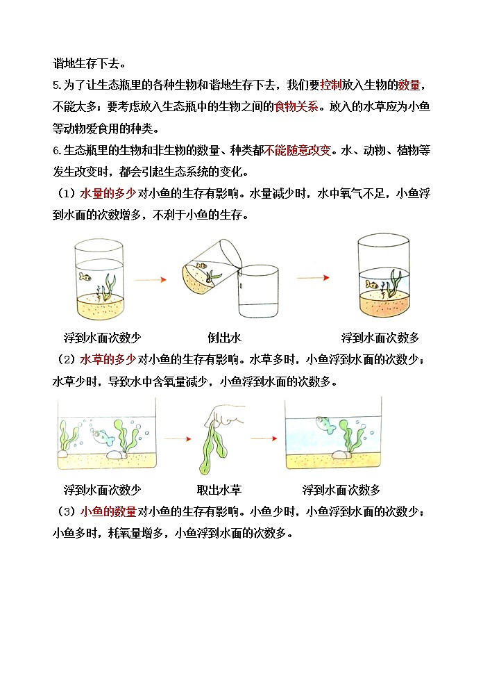 新教科版五年级科学下册1.7设计和制作生态瓶 知识梳理+精典考题第2页