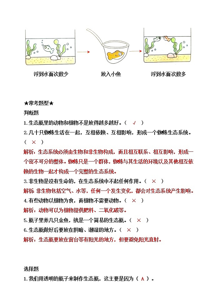新教科版五年级科学下册1.7设计和制作生态瓶 知识梳理+精典考题第3页