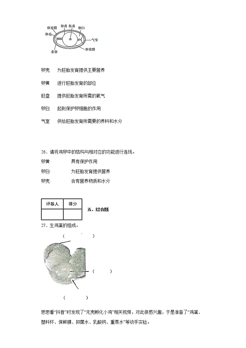 2.2认识其他动物的卵 练习03