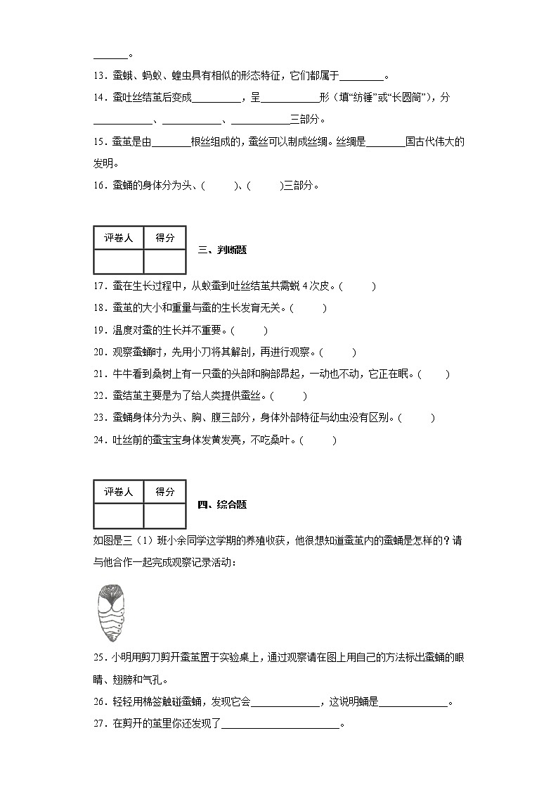 2.4蚕变了新模样 练习第2页