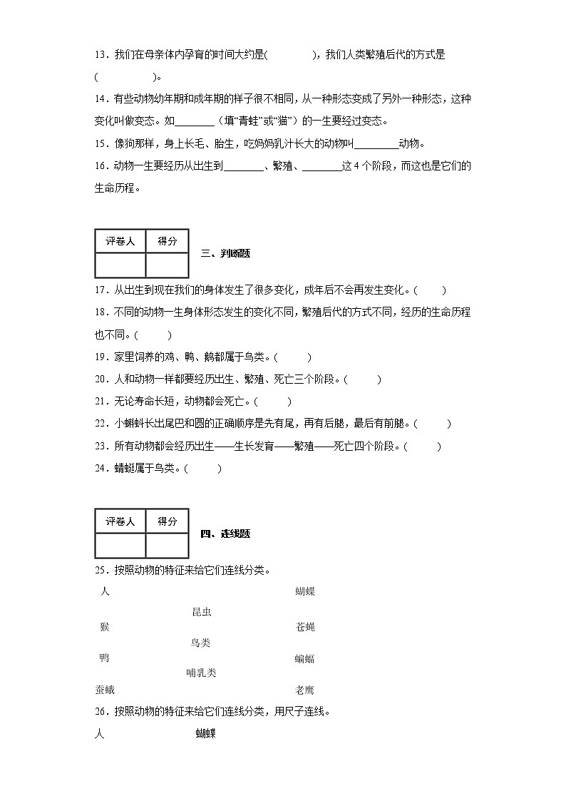2.8 动物的一生 练习第2页