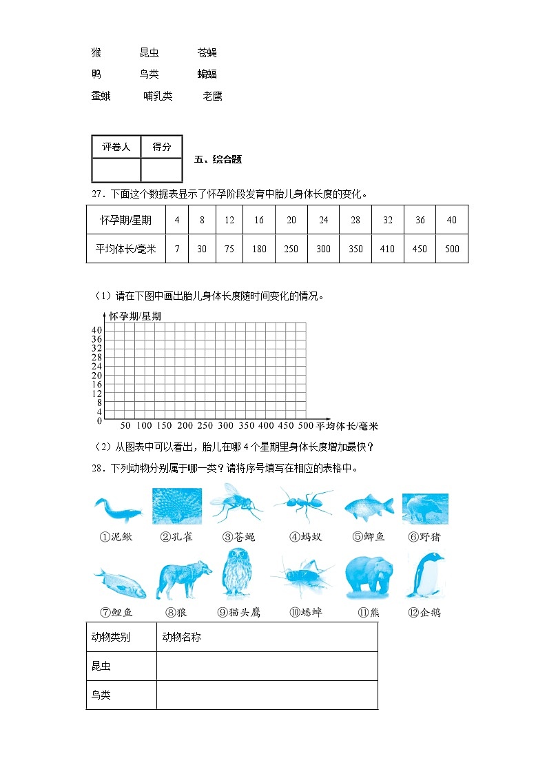 2.8 动物的一生 练习第3页