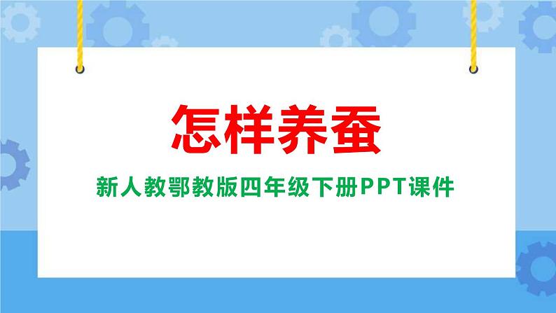 新人教鄂教版四年级下册2.6《怎样养蚕》教学设计+PPT课件+音视频01