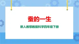 新人教鄂教版四年級(jí)下冊(cè)2.8《蠶的一生》PPT課件+教案