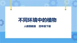 鄂教人教版四年級(jí)科學(xué)下冊(cè) 10 不同環(huán)境中的植物 課件PPT+教案+內(nèi)嵌視頻