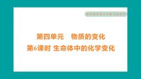 小學(xué)6.生命體中的化學(xué)變化習題課件ppt
