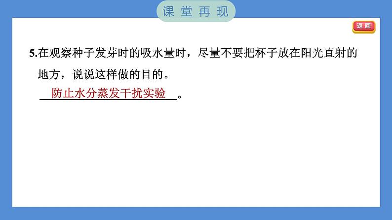 第2课时 比较种子发芽实验第5页