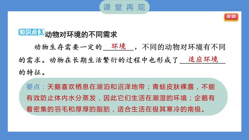 1.4 蚯蚓的选择——（习题课件+知识点梳理）教科版五年级科学下册04