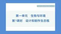 小学科学教科版 (2017)五年级下册7.设计和制作生态瓶习题ppt课件