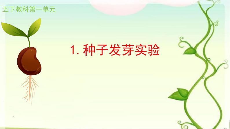 1.种子发芽实验课件PPT第1页