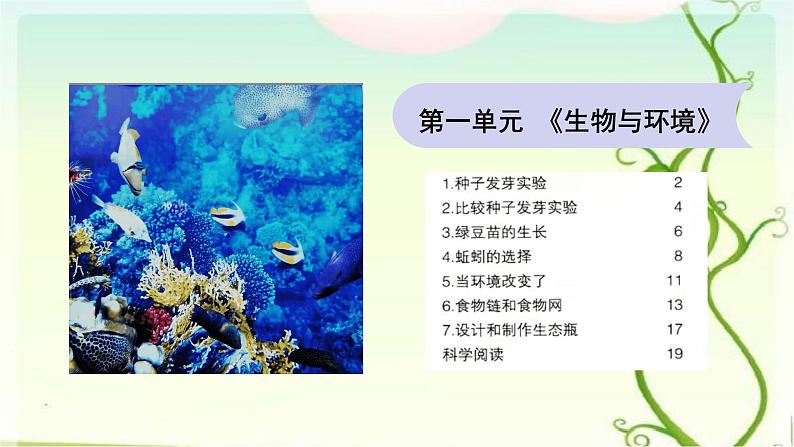 1.种子发芽实验课件PPT第4页