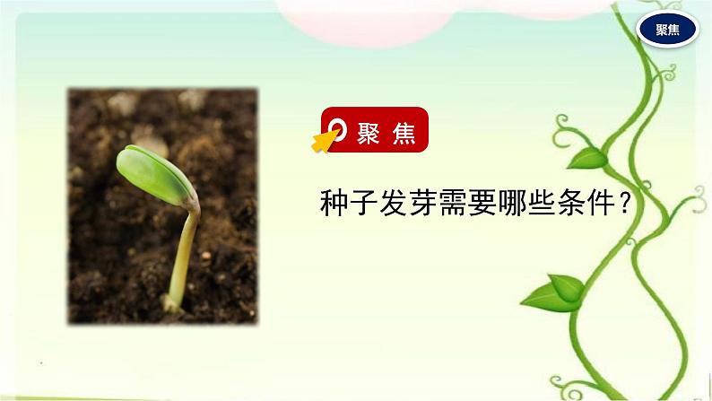 1.种子发芽实验课件PPT第6页