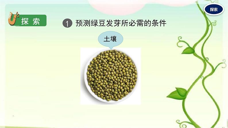 1.种子发芽实验课件PPT第7页