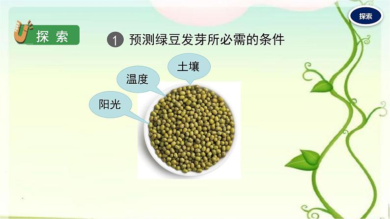 1.种子发芽实验课件PPT第8页