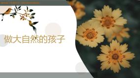 小学科学教科版 (2017)二年级上册7.做大自然的孩子优秀教学ppt课件