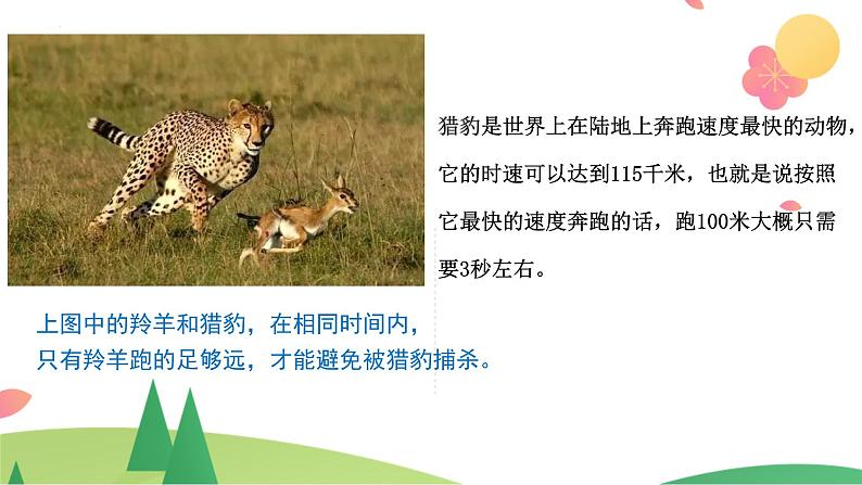 三年级下册科学教科版比较相同时间内运动的快慢(课件)04