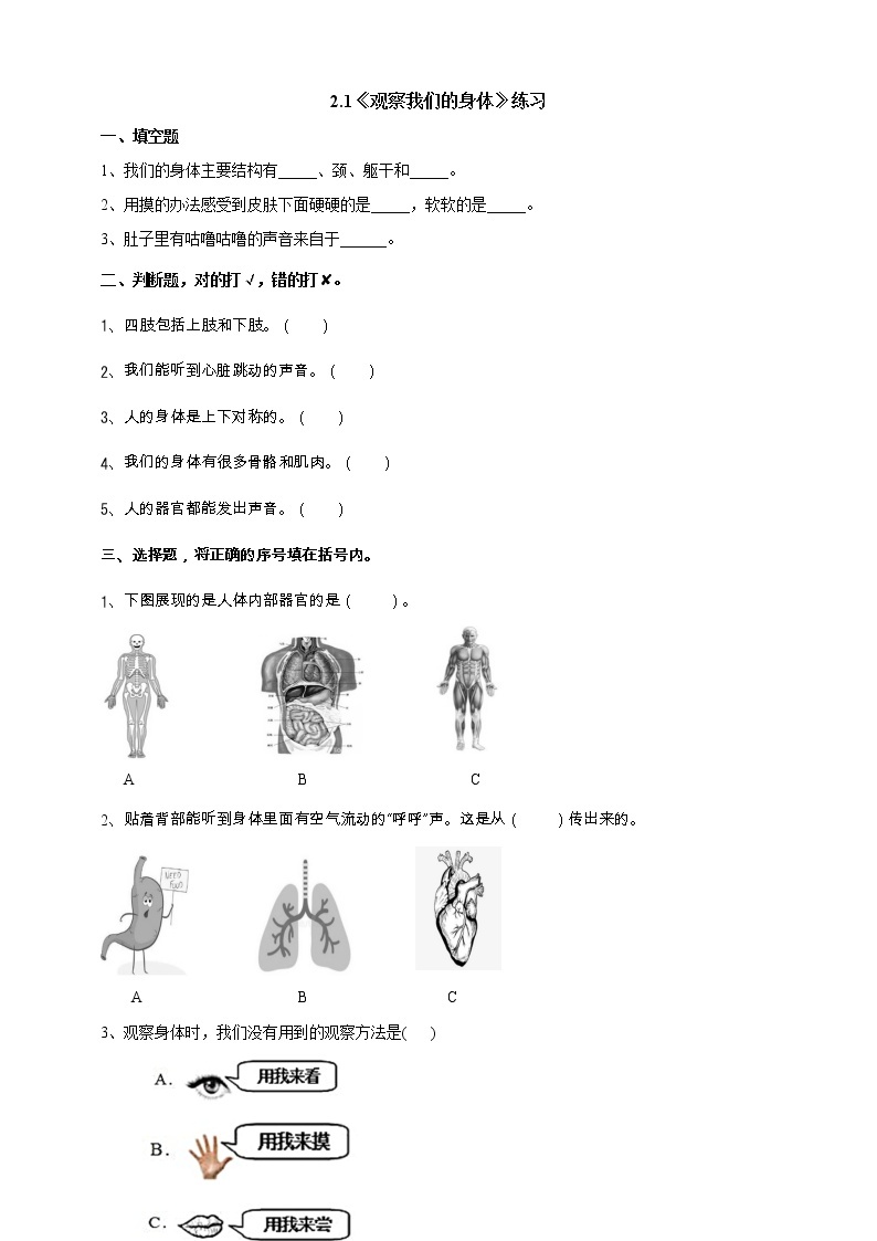 2.1《观察我们的身体》课件+教案+练习+素材01