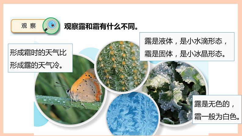 新苏教版科学五年级上册——4.14 露和霜(课件)02