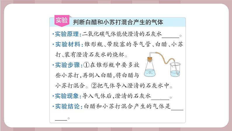 新苏教版科学六年级上册——1.3 制作汽水(课件)04
