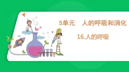 苏教版科学三年级上册——5.16 人的呼吸（课件）