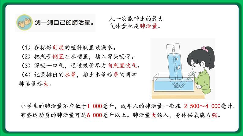 苏教版科学三年级上册——5.17 运动和呼吸(课件)第5页