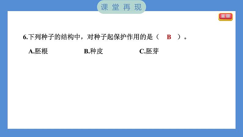1.1 种子里孕育着新生命(习题课件+知识点梳理)教科版四年级科学下册(PowerPoint 打开PPT)06