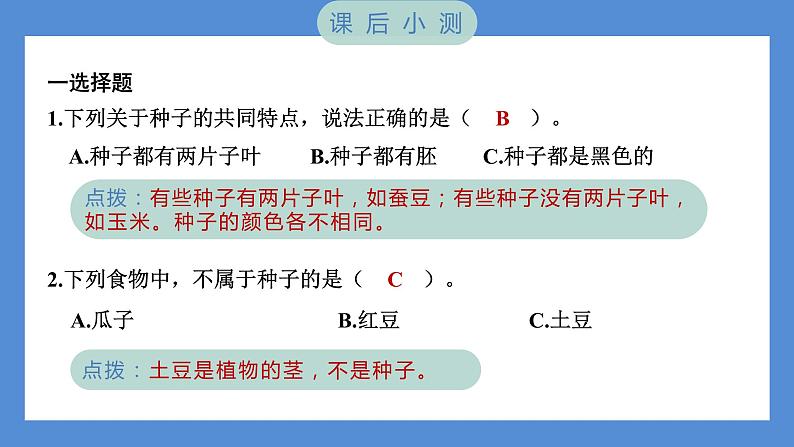 1.1 种子里孕育着新生命(习题课件+知识点梳理)教科版四年级科学下册(PowerPoint 打开PPT)07