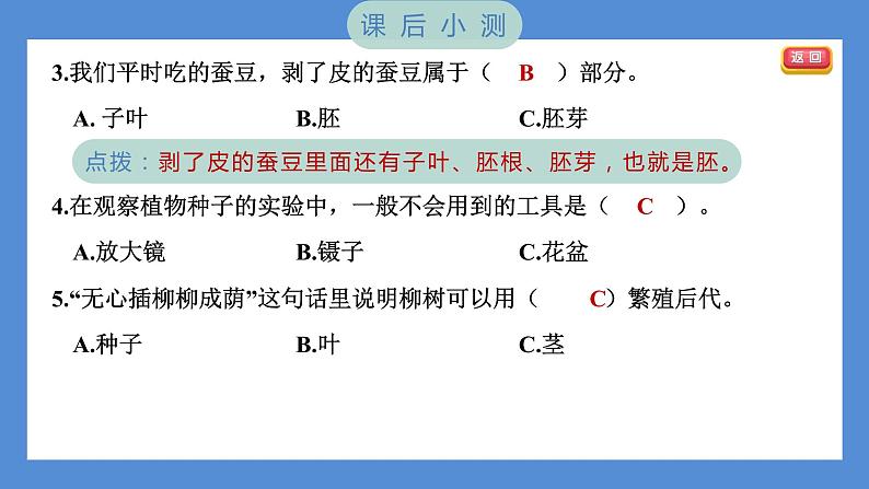 1.1 种子里孕育着新生命(习题课件+知识点梳理)教科版四年级科学下册(PowerPoint 打开PPT)08