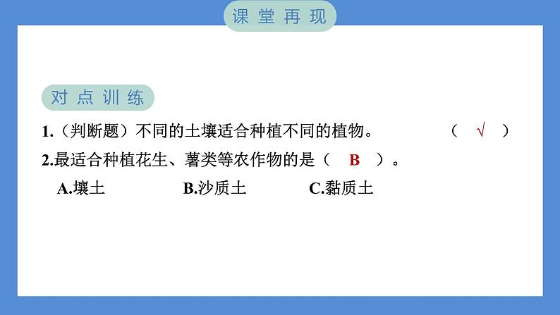第7课时 比较不同的土壤第5页