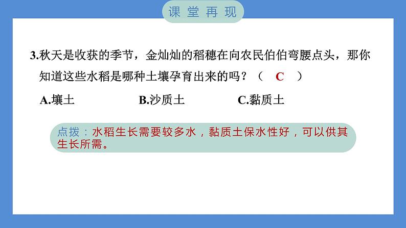 第7课时 比较不同的土壤第6页
