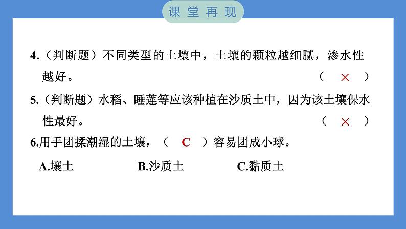 第7课时 比较不同的土壤第7页