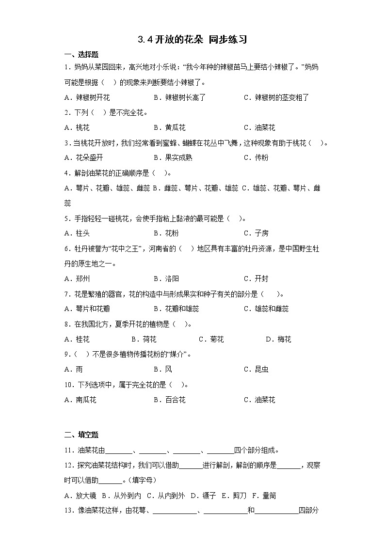 大象版三下科學(xué)3.4開(kāi)放的花朵同步練習(xí) (含答案)第1頁(yè)