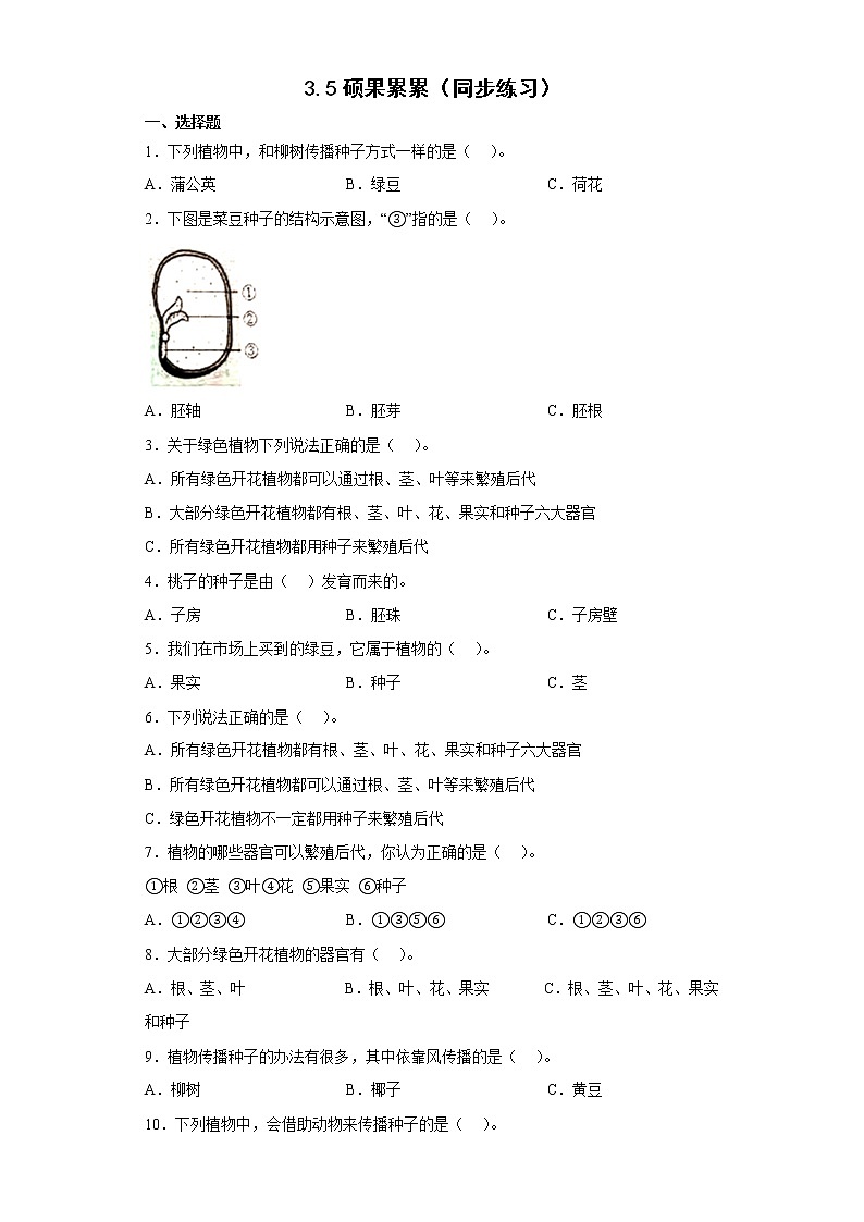 大象版三下科學(xué)3.5 碩果累累(同步練習(xí))(含答案)第1頁