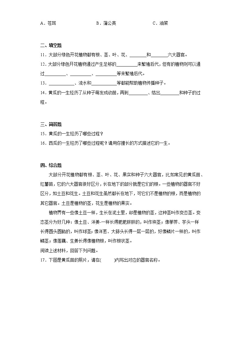 大象版三下科學(xué)3.5 碩果累累(同步練習(xí))(含答案)第2頁