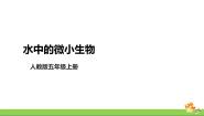 小学科学人教鄂教版 (2017)五年级上册8 水中的微小生物优秀教学课件ppt