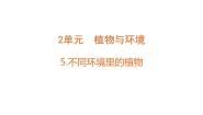 小学科学苏教版 (2017)三年级下册5 不同环境里的植物优秀教学课件ppt
