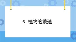 冀人版（2017秋）四年级下册6《植物的繁殖》 课件