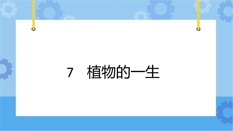 冀人版(2017秋)四年级下册7《植物的一生》 课件01
