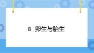 小学科学冀人版 (2017)四年级下册8 卵生与胎生公开课课件ppt