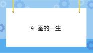 小学科学冀人版 (2017)四年级下册9 蚕的一生完美版课件ppt