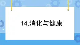 冀人版（2017秋）四年级下册14《消化与健康》 课件