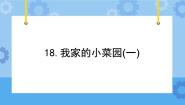 冀人版 (2017)四年级下册18 我家的小菜园（一）优秀课件ppt