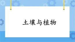 1.3《土壤與植物》課件+教案+練習