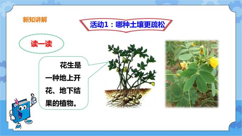 1.3《土壤与植物》课件+教案+练习04