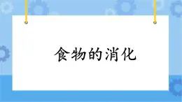 2.7《食物的消化》課件+教案+練習