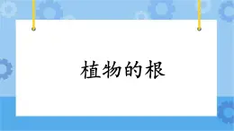 3.14《植物的根》課件+教案+練習