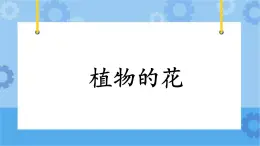 3.15《植物的花》課件+教案+練習