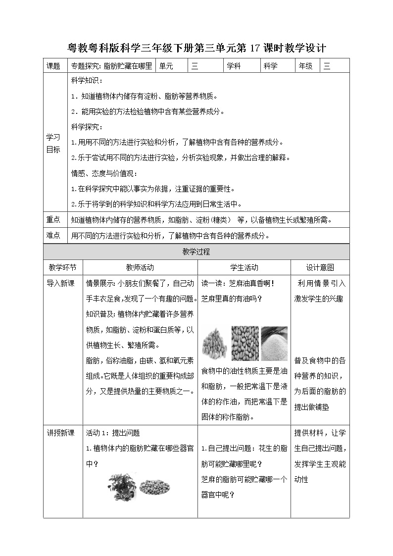 3.17《专题探究：脂肪贮藏在哪里》课件+教案+练习01