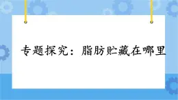 3.17《專題探究：脂肪貯藏在哪里》課件+教案+練習